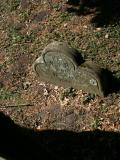 image number R W 192
